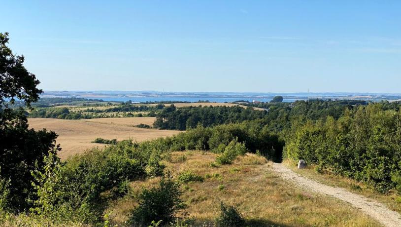 Udsigt fra Ellemandsbjerget på Djursland