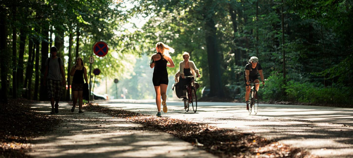 Marselisborg Wald in Aarhus