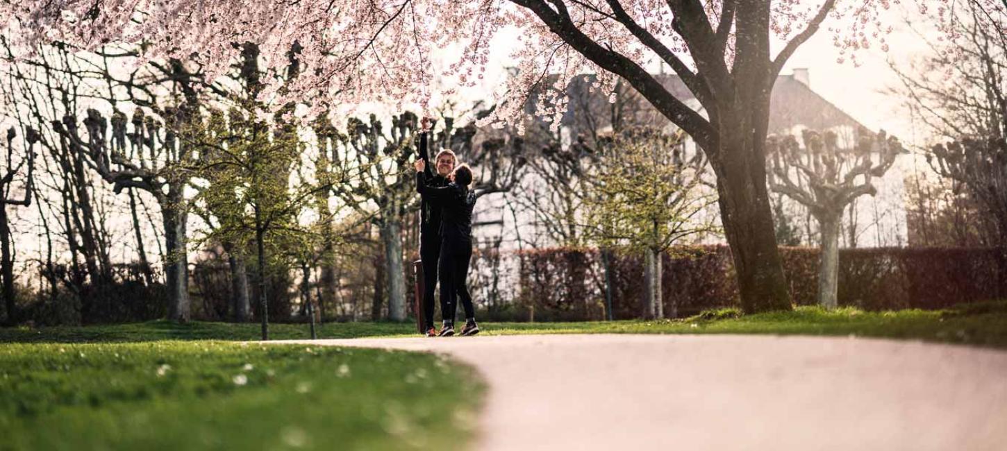 Fruhling in Mindeparken, Aarhus