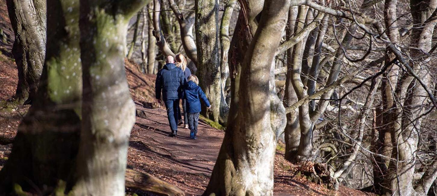 Familie i Dollerup Bakker ved Viborg