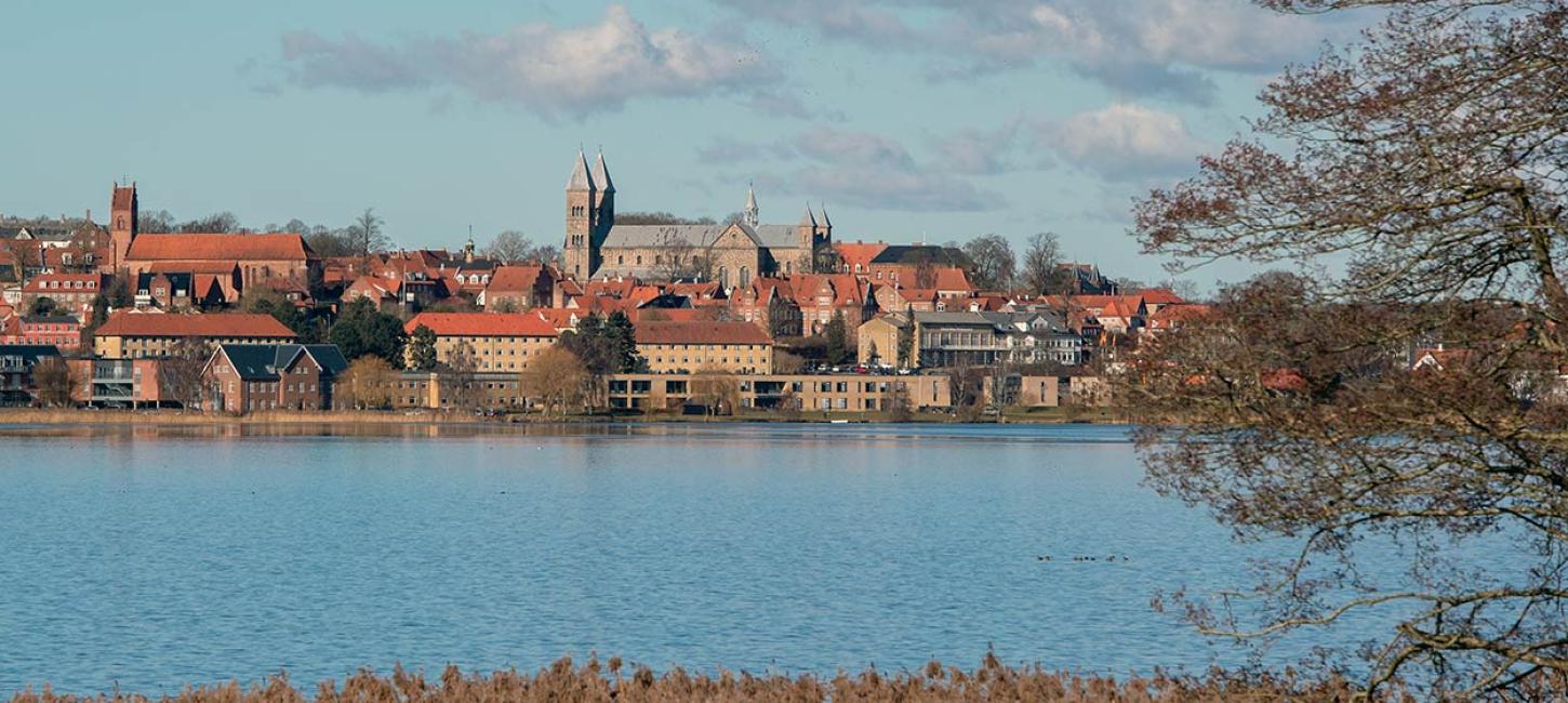 Der Domkirche und Søndersø in Viborg