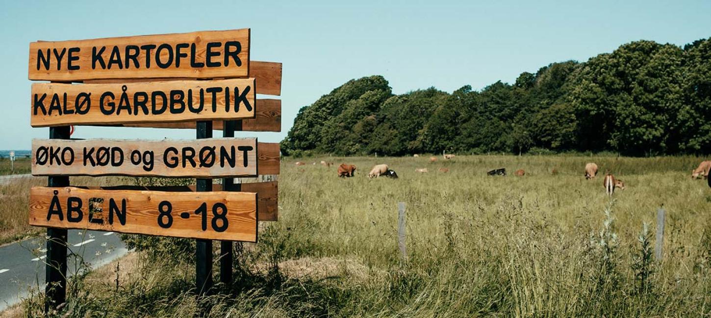 Kalø Gårdbutik auf Djursland - Bio-Fleisch und -Gemüse