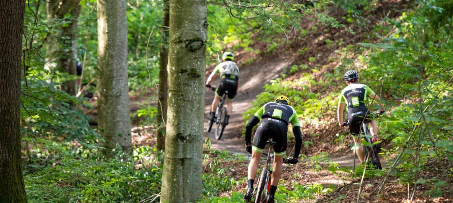 Mountainbike i Viborg