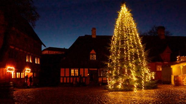 Tannenbaun in Den Gamle By - Die Alte Stadt, Aarhus