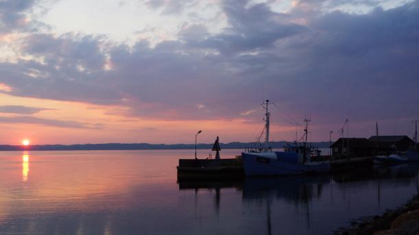 Ebeltoft havn