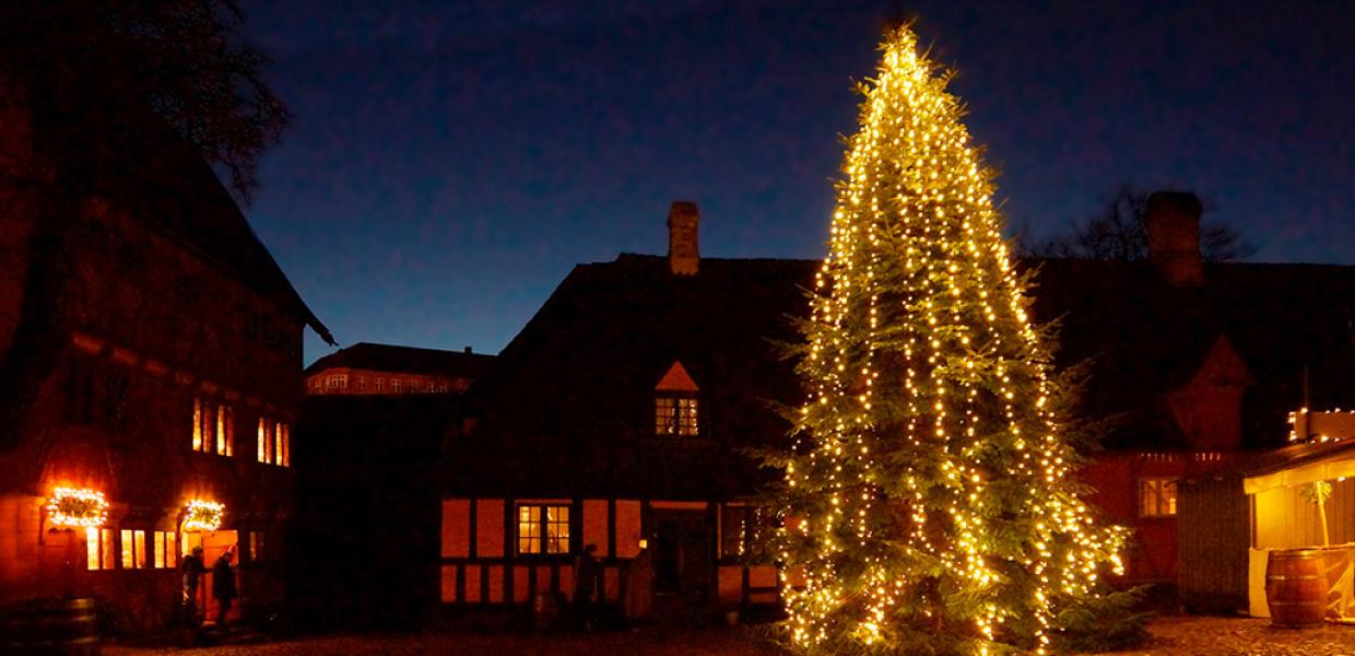 Tannenbaun in Den Gamle By - Die Alte Stadt, Aarhus