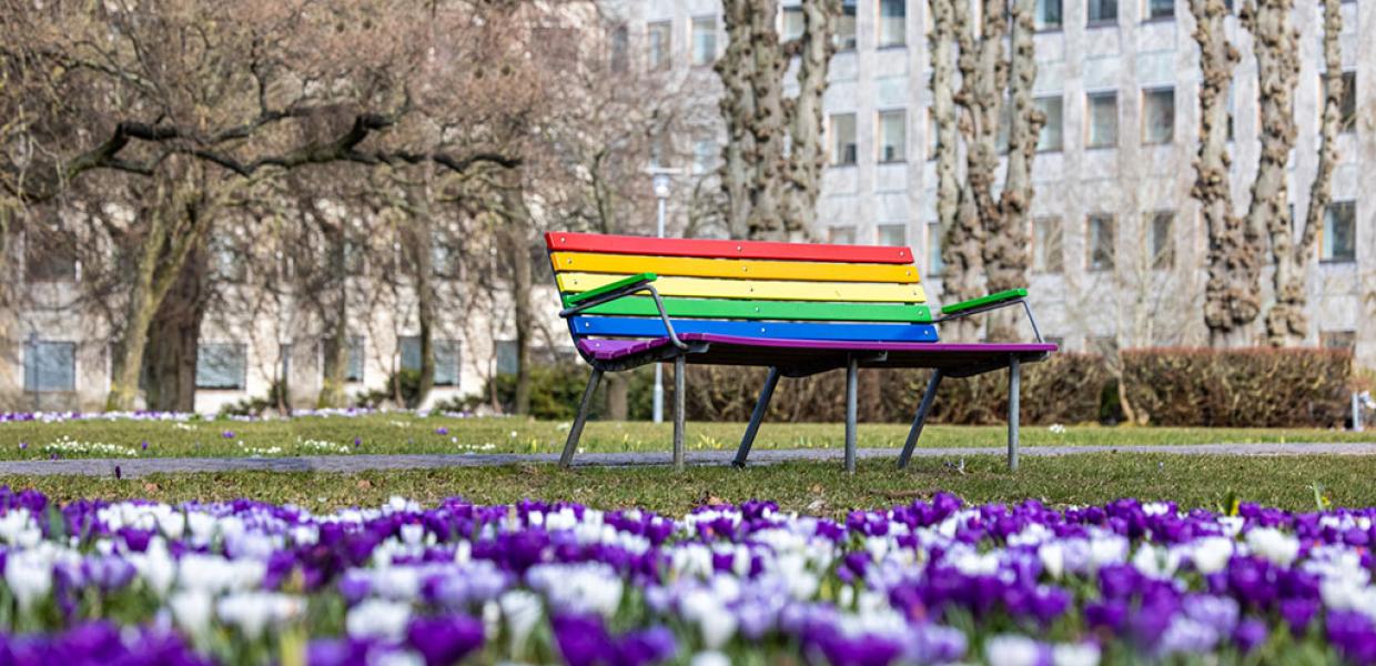 Regnbuebænk i rådhusparken i Aarhus