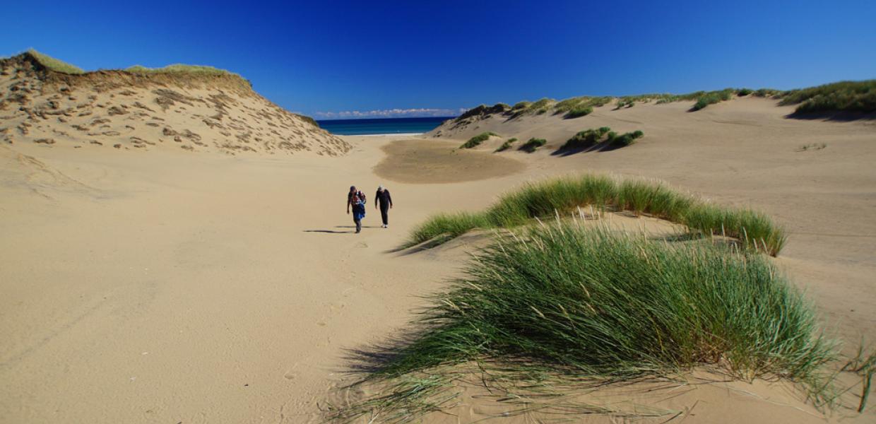 Anholt sandstrand