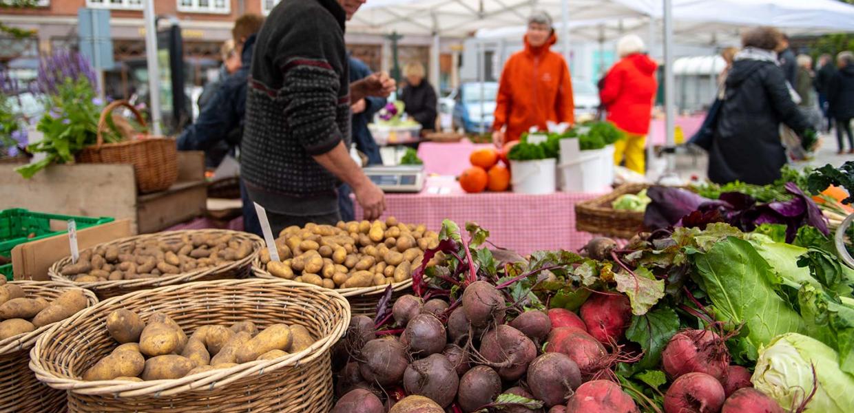 Markt in Viborg mit lokalen Zutaten