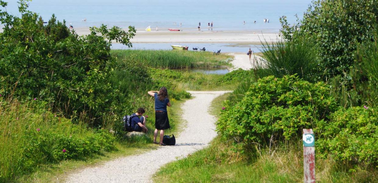 Bønnerup Strand på Djursland