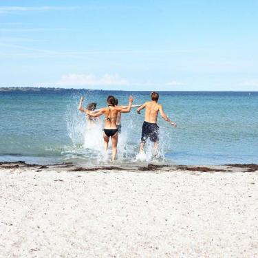 Venner på stranden