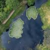Vandring i Undallslund ved Viborg