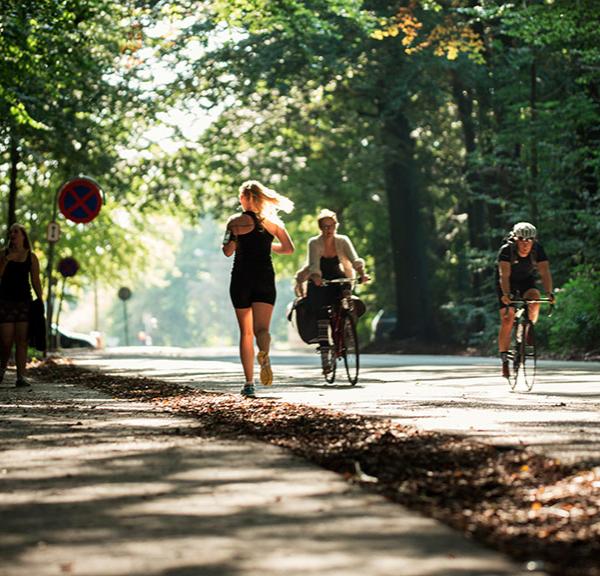Marselisborg Wald in Aarhus