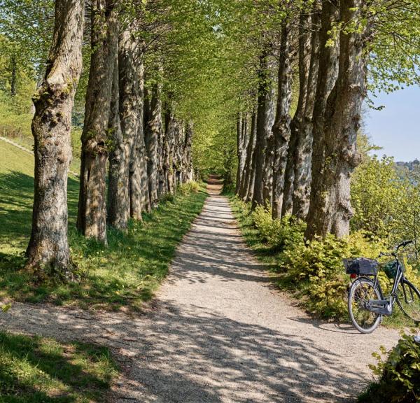 Cykelpause ved De fem Halder på Hærvejen