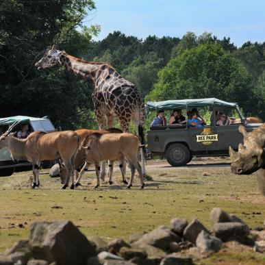 Ree Park Safari