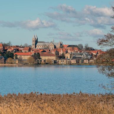 Der Domkirche und Søndersø in Viborg