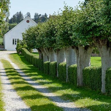 Molshøjgård Feriewohnungen auf Djursland