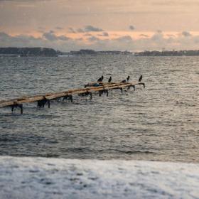 Sne og vinter på strand på Djursland