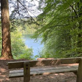 Guidede ture med SilkeborgCaminoen