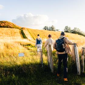 På vej mod toppen i Mols Bjerge