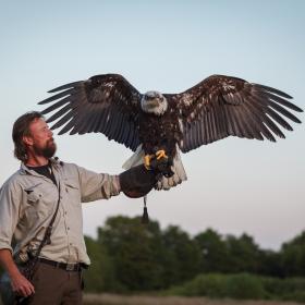 Silkeborg Ørnereservat, Rovfugleshow og Bisonfarm