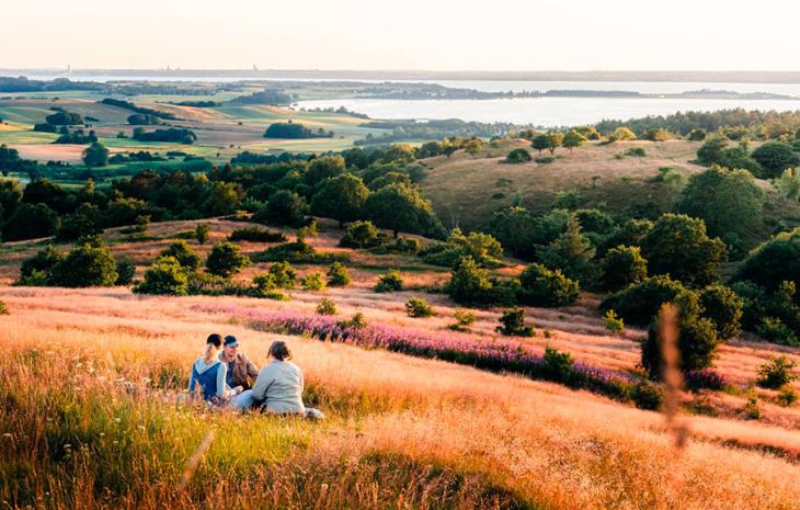 Venner hygger sig i Mols Bjerge på Djursland